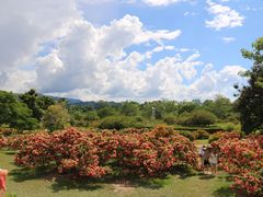 -中国科学院西双版纳热带植物园