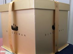 -BLACKSWAN黑天鹅(环球店)