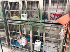 -半岛宠物医院24小时(科华中路店)