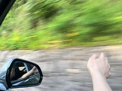 -武陵山森林公园