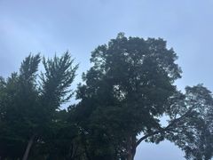 -郑州植物园