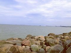 -吴淞炮台湾湿地森林公园烧烤区