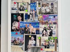 -青奢宠物·青奢猫舍