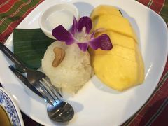 -卷心菜和避孕套餐厅(Pattaya)