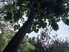 -晋祠博物馆