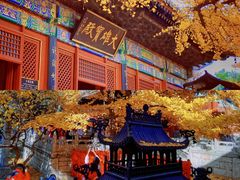 -沉浸北京·团建旅行·密室剧本杀·年会会议轰趴拓展