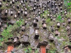 -神农架景区