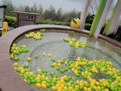 -天目湖涵田半山温泉