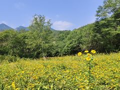 -玉渡山自然风景区