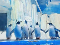 -石家庄市动物园