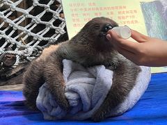 -广州长隆野生动物世界