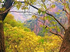 -圣莲山风景区