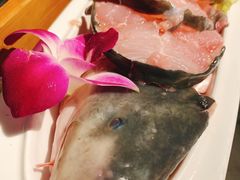 -鱼豆吉·豆浆鱼火锅(宜昌万达店)