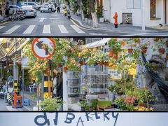 -溪岸路花鸟市场