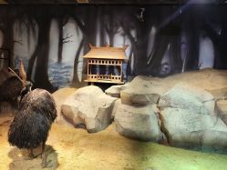 -酷嗒动物文化乐园(cutezoo西溪乐天城店)