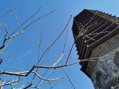 -玲珑塔公园