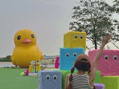 -秦皇岛乐岛海洋王国