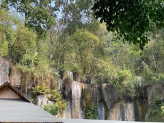 -西双版纳原始森林公园