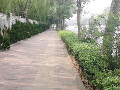 -老王豆皮