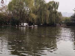 -洛阳市隋唐城遗址植物园