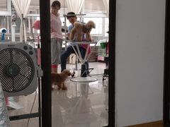 -汪说喵讲宠物乐园宠物酒店(红星美凯龙店)