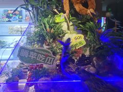 -涨巢·潮玩水疗局