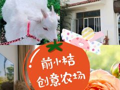 -前小桔亲子创意农场·草莓采摘·露营烧烤
