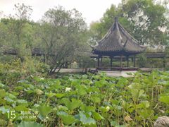 -上海醉白池公园