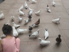 -中粮·祥云小镇