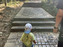 -紫金山山顶公园
