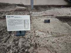 -南越王博物院(王宫展区)