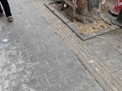 -品味居·首店·大连鲜活海鲜大连菜(东港店)