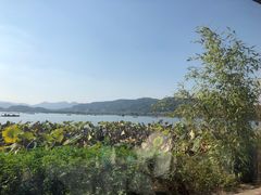 -湖畔居茶楼(湖滨店)