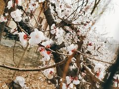 -意大利农场度假村