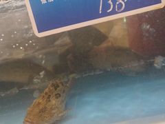 -双井轩(双井店)