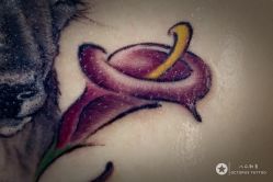 -八爪刺青tattoo