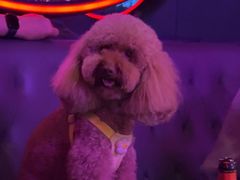 -星聚会KTV X PARTY K(上海东方渔人码头店)