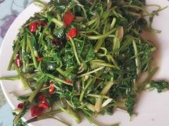 野芹菜-金台阶鱼馆(于桥水库店)