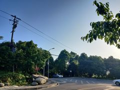 -铁山坪森林公园