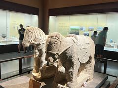 -宁夏博物馆