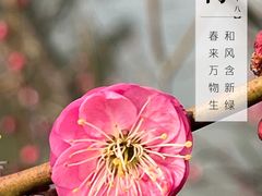 -花开海上生态园