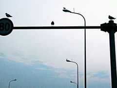 -星海湾跨海大桥