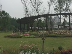 -府河摄影公园