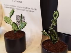 -无牌咖啡&酒馆