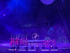 -灵玲国际马戏城