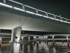 -演武大桥观景平台