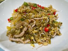 -丁老爷子苏香圆