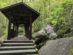 -大围山国家森林公园