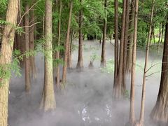 -东湖落雁景区