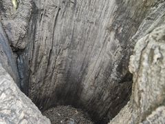 -香山公园